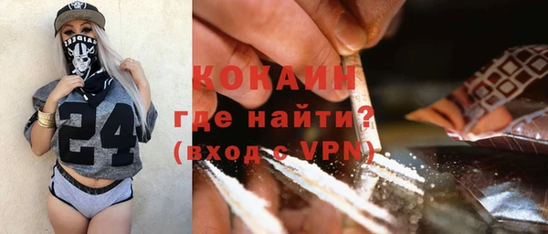 индика Армянск