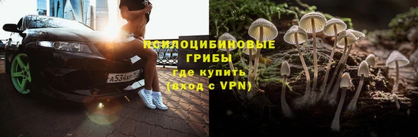 индика Армянск