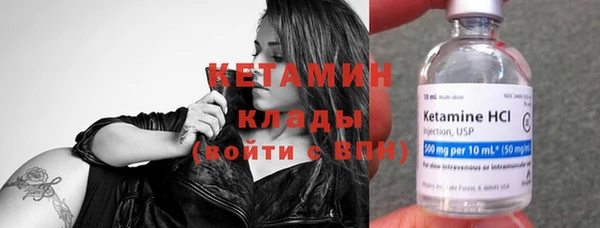 шишки Аркадак