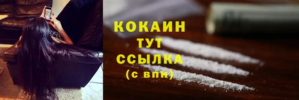 шишки Аркадак