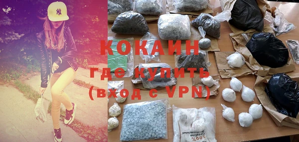 индика Армянск