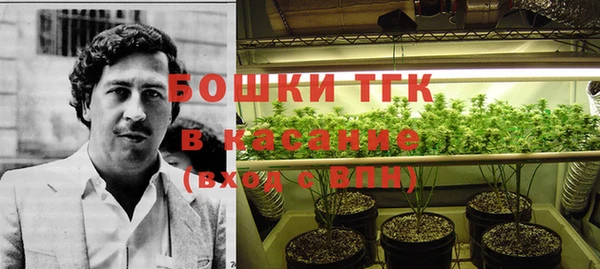 индика Армянск