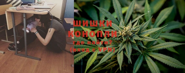 шишки Аркадак