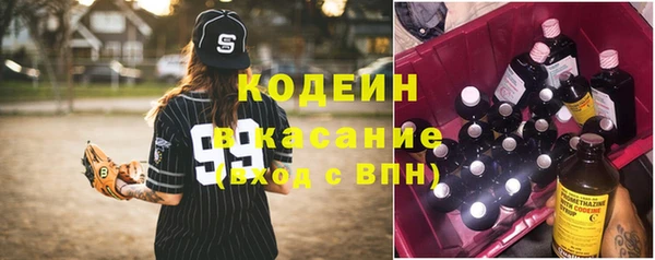 шишки Аркадак